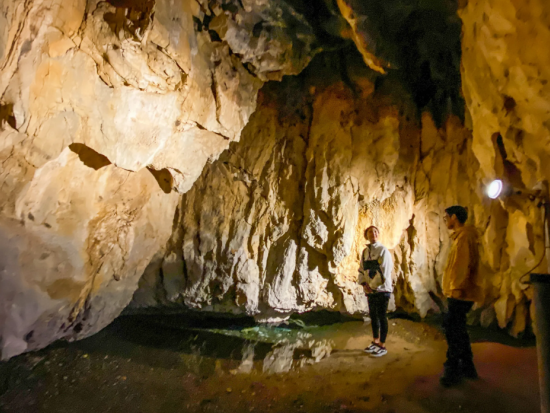 ガイド付きサイクリングツアー E-bikeでパワースポット巡り！瀧原宮と石窯ピザづくりコース＜4時間／4名限定プラン／昼食付／大紀町＞