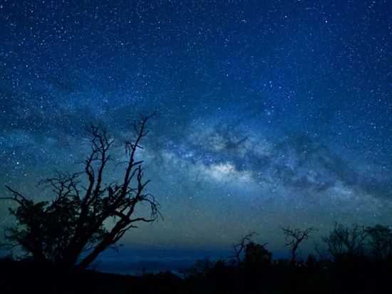 マウナケア山麓　星空観測ツアー ＜貸切／日本語ガイド＞