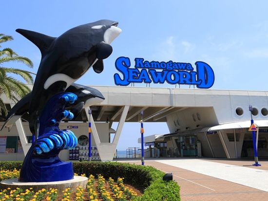 鴨川シーワールド 03