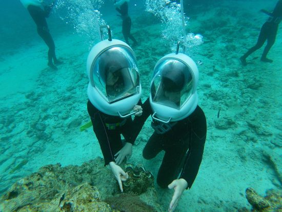 シーウォーク＋青の洞窟シュノーケル お子様の参加もOK！水中探検できる満喫プラン＜写真撮影無料／8歳～60歳まで参加可能／グリーン・フィンズ認定店／恩納村発＞