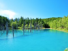 pixta_85784990_M