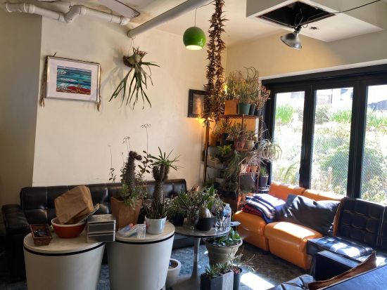 湘南・江ノ島 親子サーフィンスクール 子どもと一緒に湘南でサーフィンデビュー！4歳以上参加可能＜3.5時間／午前・午後＞