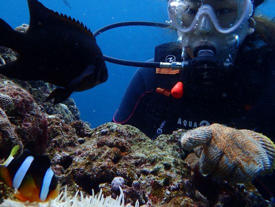 青の洞窟体験ダイビング！青く輝く神秘的な光と沖縄の海の生き物に触れ合える充実プラン ＜那覇・北谷発／現地まで送迎付＞