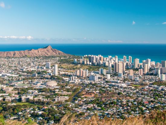 オアフ島1日周遊観光　この木なんの木やドールプランテーション、ハレイワタウンなど名所を効率良く巡る！ガーリックシュリンプのランチ付き（混載プランのみ）