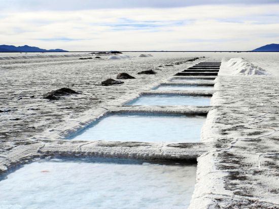 絶景の塩湖「サリーナス・グランデス」と七色の丘　1日観光ツアー ＜英語ガイド／サルタ発＞