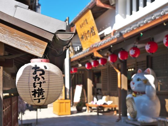 伊勢神宮 外宮・内宮参拝とおかげ横丁、夫婦岩を巡る日帰りツアー＜大阪発着＞