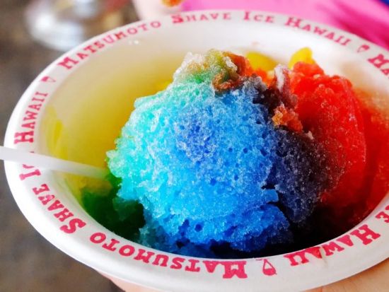 バン・ミニバス貸切チャーター　ハワイでのグループ旅行に最適！最大25名まで乗車可能＜1～25名／6～8時間／日本語ドライバーガイド＞