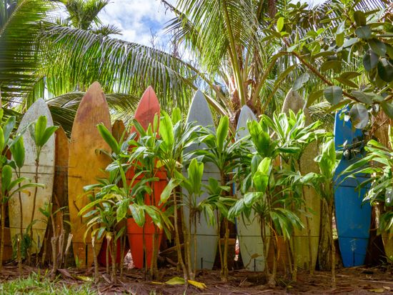 shutterstock_744646369