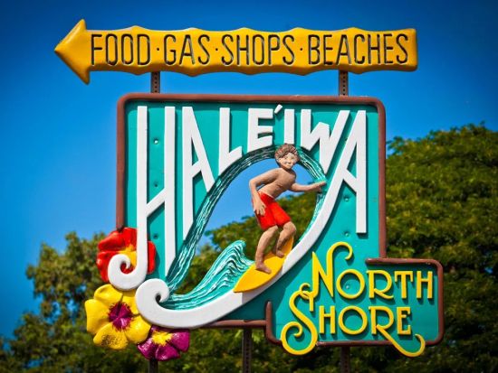 オアフ島1日観光　ノースショア観光＆ショッピング　ハレイワ＋ドールプランテーション等　ランチはロミーズのガーリックシュリンプ！マラサダ付き＜月・金曜限定＞