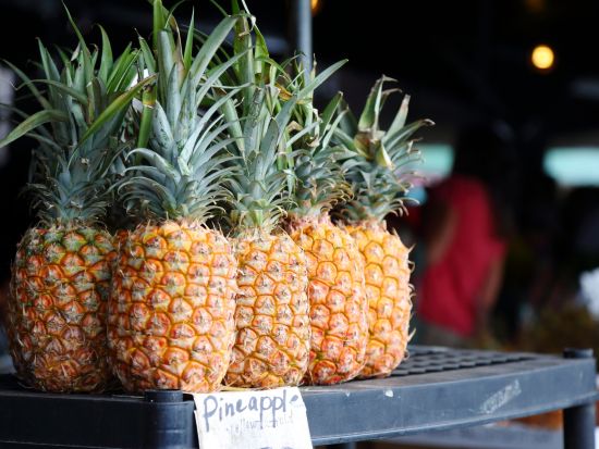 KCCファーマーズマーケット＆ノースショア散策グルメツアー　ランチはロミーズのガーリックシュリンプへご案内！レナーズのマラサダ付き＜貸切プランあり／土曜日限定＞