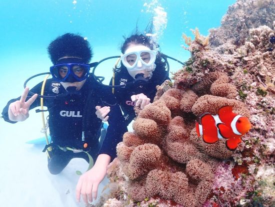 体験ダイビング(2ダイブ)+シュノーケル たっぷり２ダイブで石垣島の海を満喫！ウミガメやマンタに会いに行こう＜1日／昼食付／市街地送迎＞