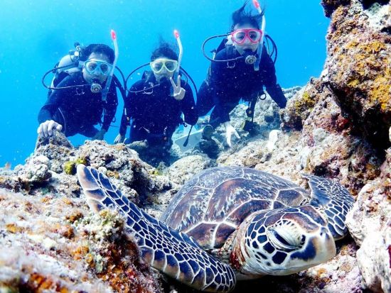 体験ダイビング(2ダイブ)+シュノーケル たっぷり２ダイブで石垣島の海を満喫！ウミガメやマンタに会いに行こう＜1日／昼食付／市街地送迎＞