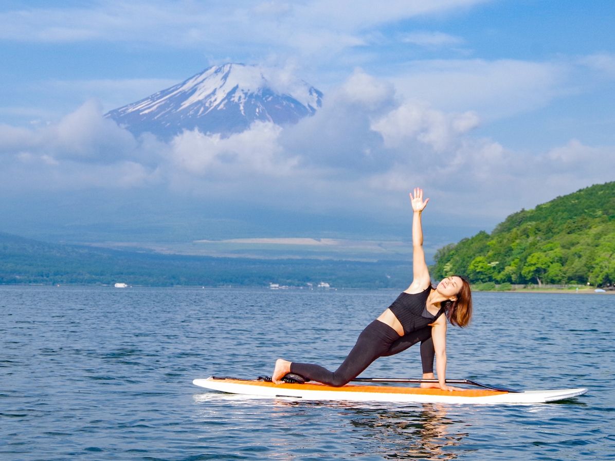 mountfuji 本・雑誌・漫画 【ほたねぬこ様専用】顕正新聞と富士