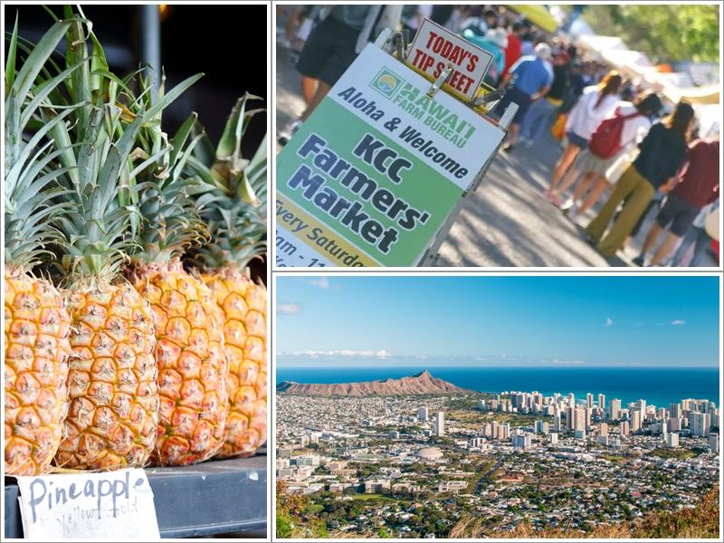 KCCファーマーズマーケットシャトルサービス ワイキキの街並みと海を