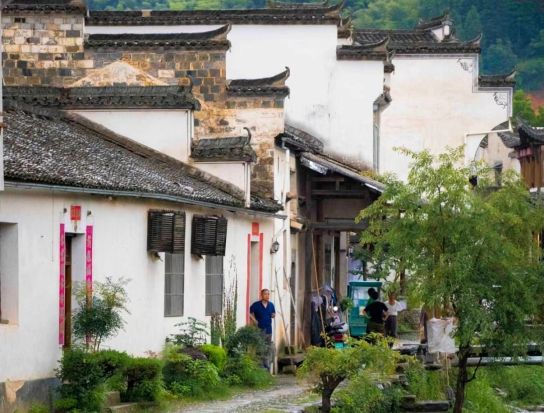 【上海発 or 蘇州発・1泊2日ツアー】黄山＋宏村、世界遺産と中国絶景を巡るツアー*5つ星ホテル利用＜往復とも新幹線利用／専用車＋専属日本語ガイド／昼食付＞