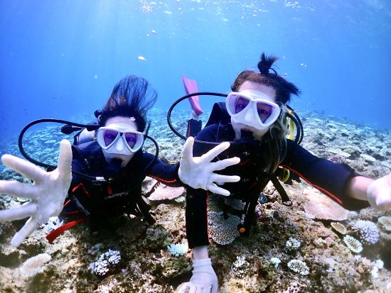 【宮古島｜体験ダイビング】１組限定＊器材レンタル込み＊カメラ無料レンタル（ビーチorボート／１〜３ダイブ）