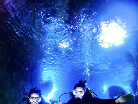 【宮古島｜体験ダイビング】１組限定＊器材レンタル込み＊カメラ無料レンタル（ビーチorボート／１〜３ダイブ）