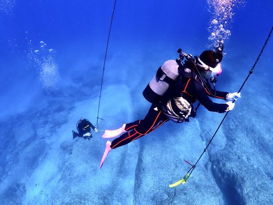 【宮古島｜体験ダイビング】１組限定＊器材レンタル込み＊カメラ無料レンタル（ビーチorボート／１〜３ダイブ）