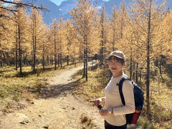 世界遺産カナディアンロッキー　日帰りハイキングツアー ＜5～10月／日本語ガイド＞by バンフトップツアーズ