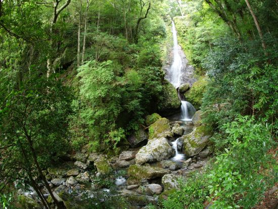 ガイド付きサイクリングツアー E-bikeに乗って大自然を満喫！笠木渓谷ヒルクライムと鮎づくしコース＜4時間／昼食付／大紀町＞