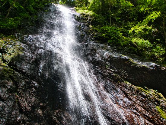 ガイド付きサイクリングツアー E-bikeに乗って大自然を満喫！笠木渓谷ヒルクライムと鮎づくしコース＜4時間／昼食付／大紀町＞