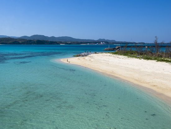 美ら海水族館観光バスツアー 沖縄美ら海水族館の他首里城や古宇利島など沖縄の魅力をギュッと凝縮！ 家族旅行にもオススメ◎＜1日ツアー／那覇発＞