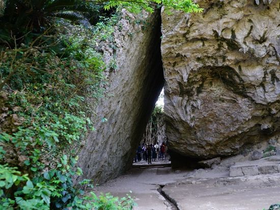 斎場御嶽、首里城公園、ガンガラーの谷、おきなわワールドの4つから選ぶ 那覇空港下車可で旅行最終日にぴったり！南部バスツアー ＜半日or1日ツアー／那覇発＞