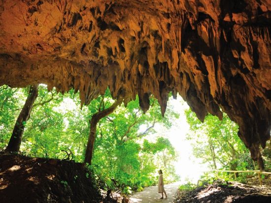 斎場御嶽、首里城公園、ガンガラーの谷、おきなわワールドの4つから選ぶ 那覇空港下車可で旅行最終日にぴったり！南部バスツアー ＜半日or1日ツアー／那覇発＞