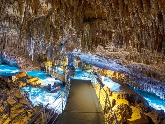 斎場御嶽、首里城公園、ガンガラーの谷、おきなわワールドの4つから選ぶ 那覇空港下車可で旅行最終日にぴったり！南部バスツアー ＜半日or1日ツアー／那覇発＞