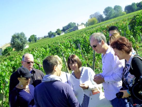 ボルドー　世界遺産サンテミリオン地区　半日ワインツアー＜試飲付き／英語ドライバーガイド／午前または午後／4時間／ボルドー発着＞*前日まで予約OK