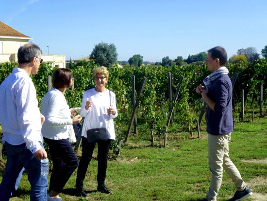 ボルドー　世界遺産サンテミリオン地区1日ワインツアー　3軒のシャトー訪問＜試飲付き／英語ドライバーガイド／ボルドー発着＞