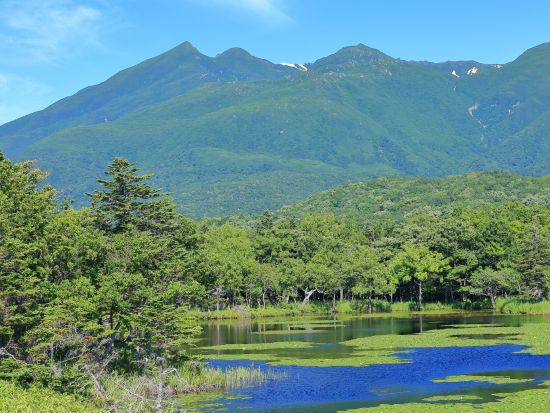 知床・網走 貸切観光タクシー 知床半島・網走・摩周湖・阿寒湖・釧路の観光や空港送迎など自由にプランニング＜1～4名／3～8時間／女満別空港または網走市内発着＞