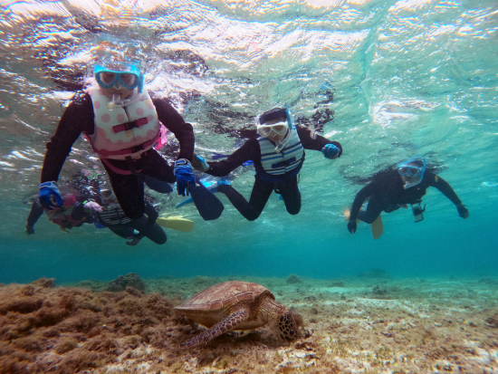 ウミガメシュノーケリング　遭遇率99.9%* 1枠1組貸切制なのでプライベート感も満喫　写真＆編集動画プレゼント ＜約2時間／笠利町＞ by OCEANZ