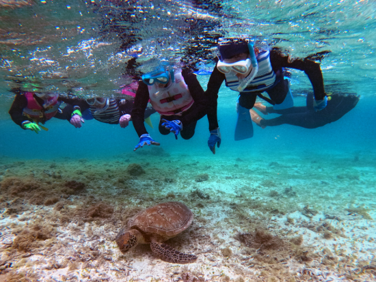 ウミガメシュノーケリング　遭遇率99.9%* 1枠1組貸切制なのでプライベート感も満喫　写真＆編集動画プレゼント ＜約2時間／笠利町＞ by OCEANZ