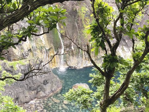 知床 原生林＆けもの道トレッキングツアー 知床の絶景をベテランガイドとドキドキ&ワクワク散策＜9～10月／双眼鏡レンタル／斜里町発／ウトロエリア送迎可＞