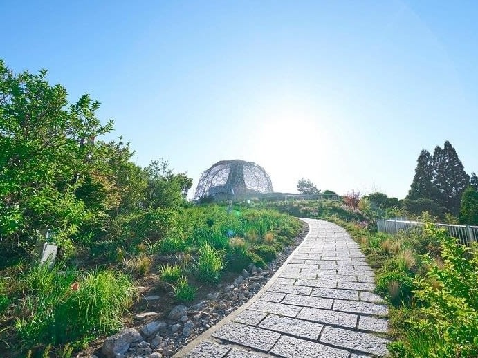 自然体感展望台 六甲枝垂れ 入場券 六甲山で四季折々の自然を体感！神戸、大阪の美しい景観が一望できます＜神戸市・六甲山＞ |  兵庫の観光&遊び・体験・レジャー専門予約サイト VELTRA(ベルトラ)