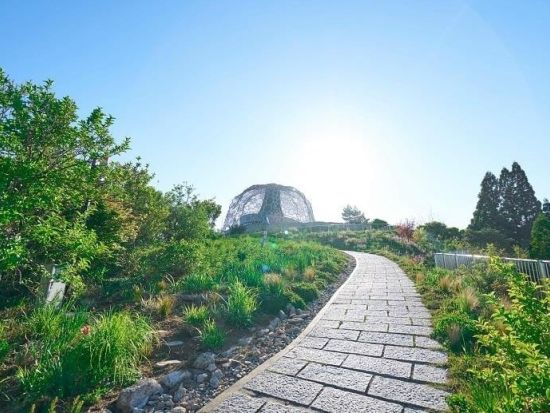 自然体感展望台 六甲枝垂れ 入場券 六甲山で四季折々の自然を体感！神戸、大阪の美しい景観が一望できます＜神戸市・六甲山＞