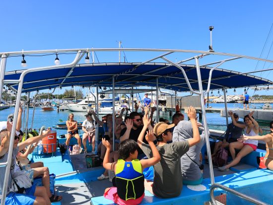 ウミガメシュノーケリング　ワイキキカメ大学　ワイキキビーチ沖で海中探検！ハワイの伝統セレモニーのエホマイ体験も　ワイキキ送迎可＜3時間／日本語／ケワロ港発＞