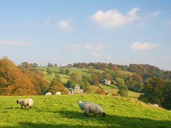 世界遺産湖水地方 日本語ガイドと巡る日帰りツアー＜日本語ガイド／3～10月／ロンドン発＞の写真