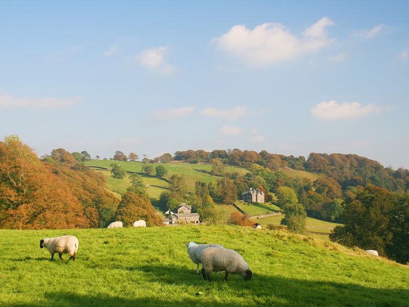 UK_Lake District_Near Sawrey_pixta_523803_M