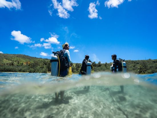 PADIオープンウォーター　ダイビングライセンス取得コース　自宅学習＋現地講習でスムーズな取得＜2～3日間＞