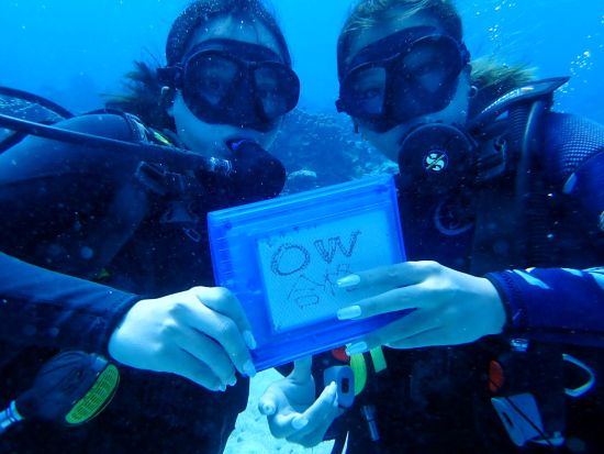 PADIオープンウォーター　ダイビングライセンス取得コース　自宅学習＋現地講習でスムーズな取得＜2～3日間＞