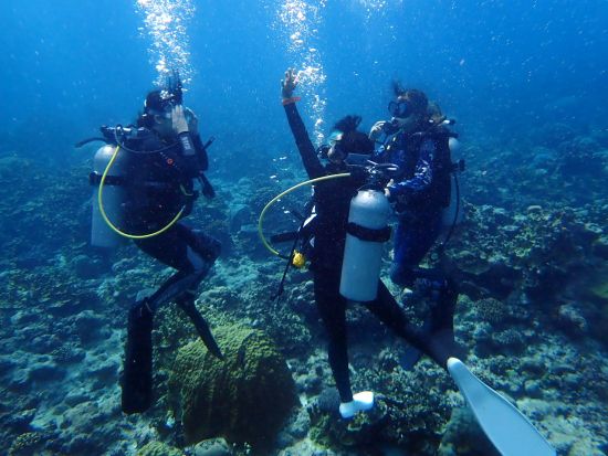 PADIオープンウォーター　ダイビングライセンス取得コース　自宅学習＋現地講習でスムーズな取得＜2～3日間＞