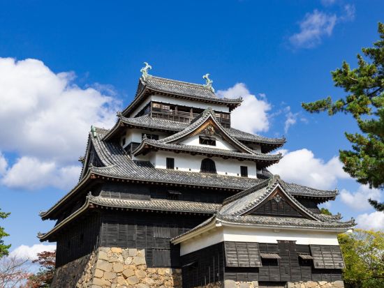 松江城ガイドツアー 天守閣登閣＋大名ゆかりの茶室でお点前体験付き お茶が大好きな松江のお殿様 松平不昧公が愛した街めぐり＜2時間30分／松江市＞