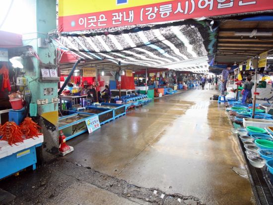 【ソウル＆江原編】人気K-POPグループの聖地を巡るツアー！香湖海岸バス停＋オリンピック主競技場＋鶴洞公園＋国立中央博物館ほか＜1日／日本語ガイド／明洞解散＞