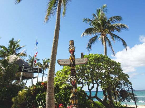 トーテムポールとヤシの木1