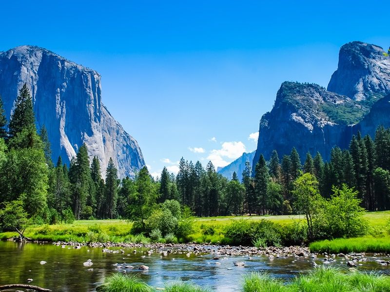 USA_Yosemite_Yosemite National Park_El Capitan_shutterstock_142024447