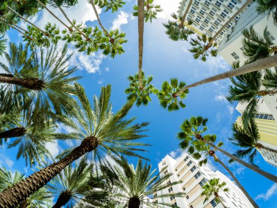 【空港送迎】マイアミ国際空港 ⇔ ダウンタウン・マイアミ地区またはマイアミビーチ地区 ＜貸切／英語ドライバー＞