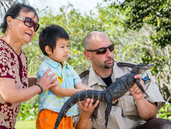エバーグレーズ湿地帯 半日ツアー　エアボート乗船＆サファリパーク観光