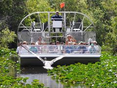 airboat-ride-bird